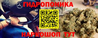 МДПВ Моздок