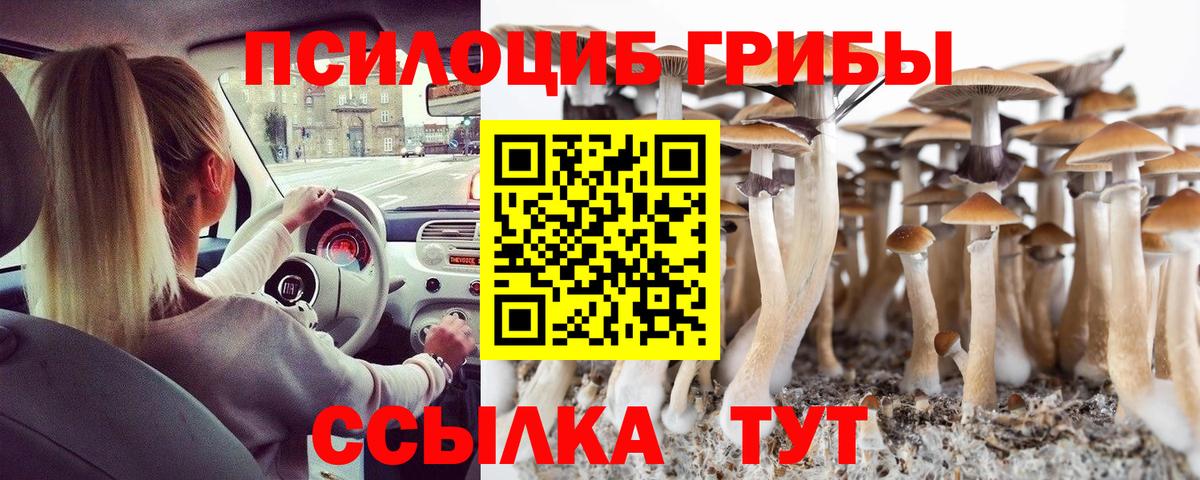 Галлюциногенные грибы Cubensis  Вход с VPN  что такое наркотик  Верхняя Пышма 