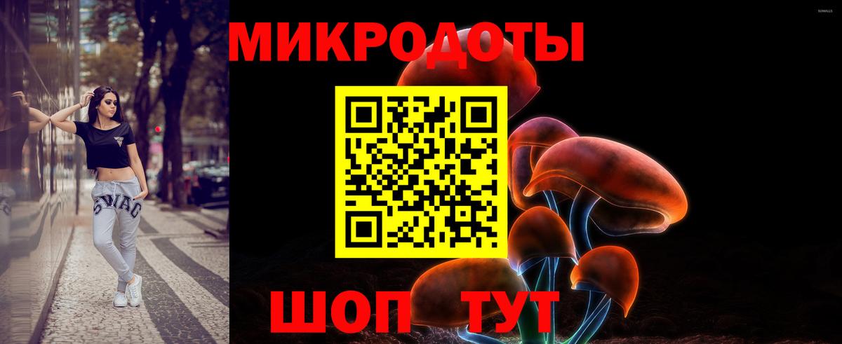 Галлюциногенные грибы Psilocybine cubensis Верхняя Пышма